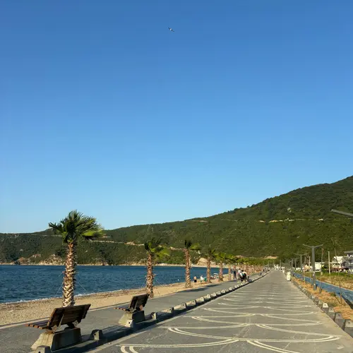 Prestige Villa Turanköy photo 44