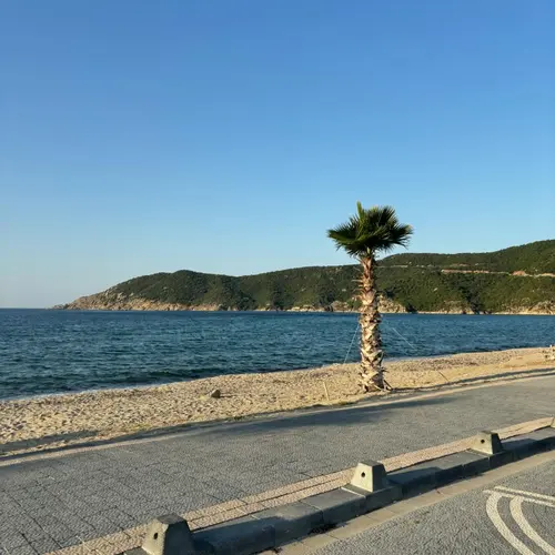 Prestige Villa Turanköy photo 58